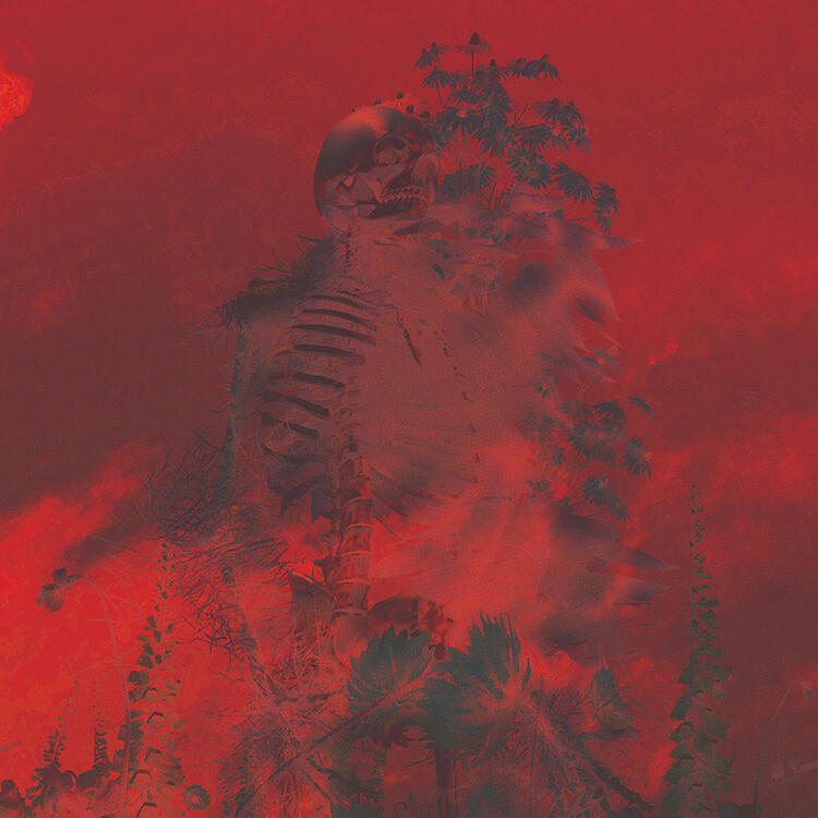 Will I Bloom in Your Mind - (2026)